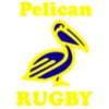 PelicanPoloPNG