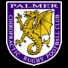 PALMER CHRIOPRACTIC RFC